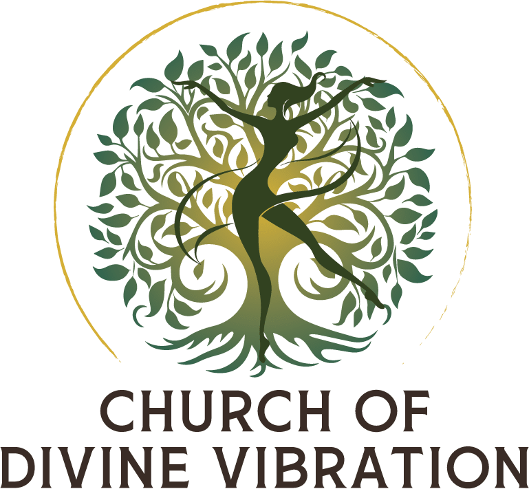 CDV Logo Transparent